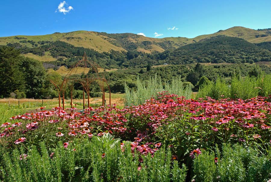 elsewhere gin landscape