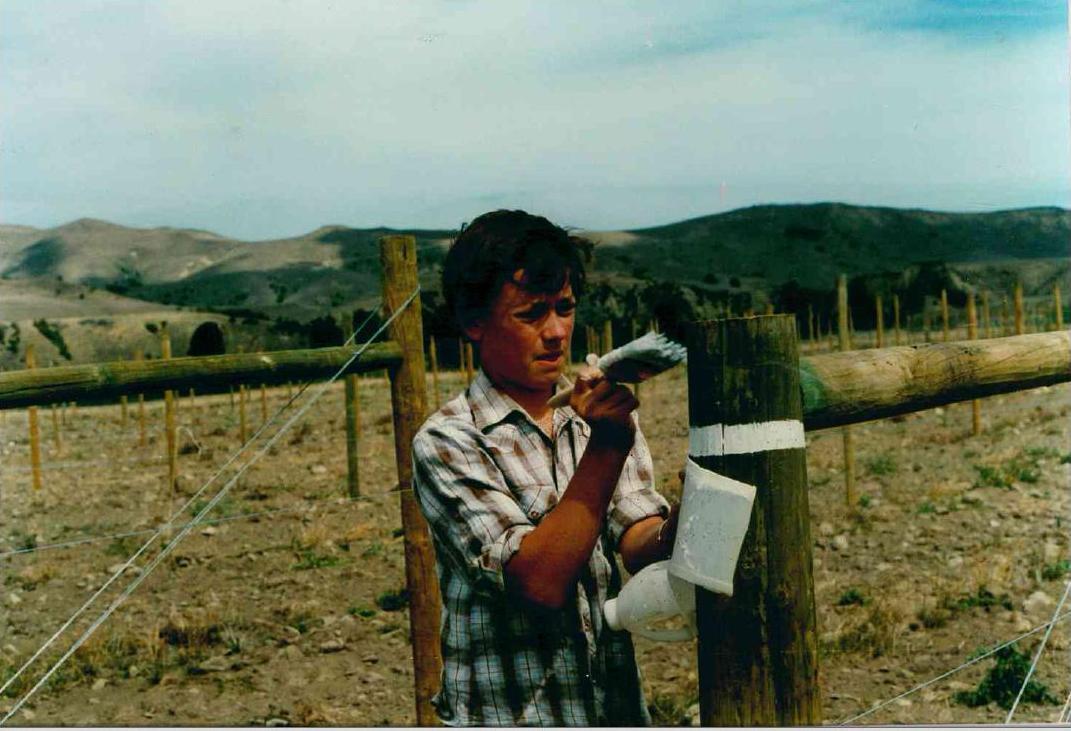 Ed Donaldson painting vineyard posts